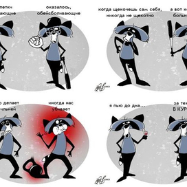 Енот Иссидор-1