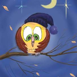 сова вночи