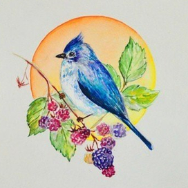 голубая птичка