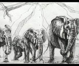 семь слонов - на счастье...