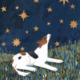 О чем мечтают собаки? 