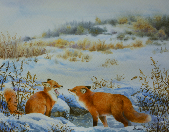 Первое знакомство