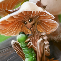 Mushroom Fairy