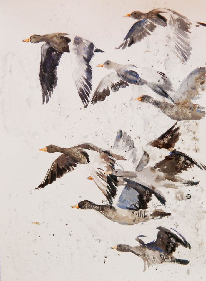 "Перелётные гуси".