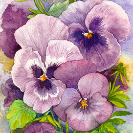 Анютины глазки