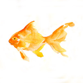 Рыбка золотая