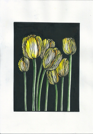 тюльпаны