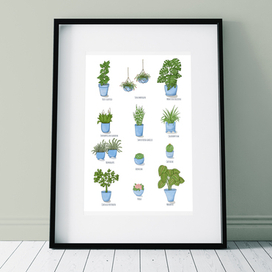 Плакат "комнатные растения"