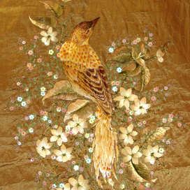 Райская птица