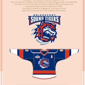 hockey jersey of BRIDGEPORT SOUND TIGERS