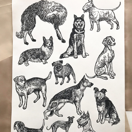 Серия линогравюр "Год собаки"