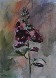 Дачный эскиз