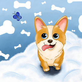 "Летать в облаках*