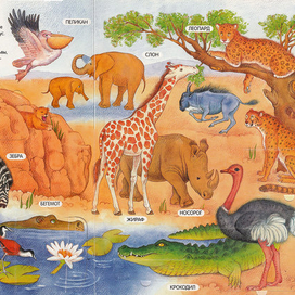 Саванна. К детской энциклопедии
