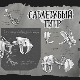 Саблезубый тигр