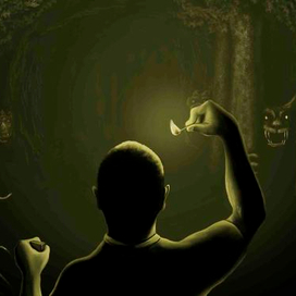 Лес без света