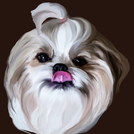 Рисунок собаки по фотографии заказчика стоимость 500 руб.