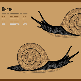 Создание кистей и иллюстрация