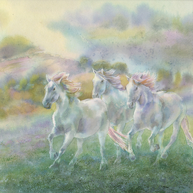 На рассвете