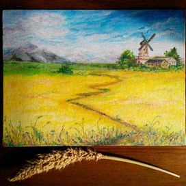 Golden field 