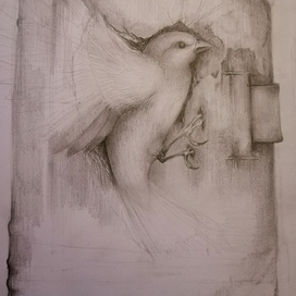 Загнанная душа