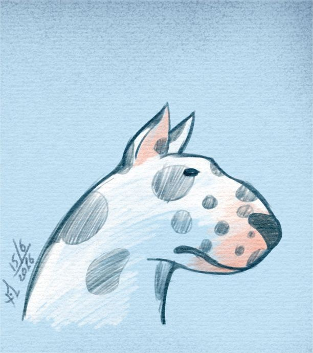 Псяка, зарисовка