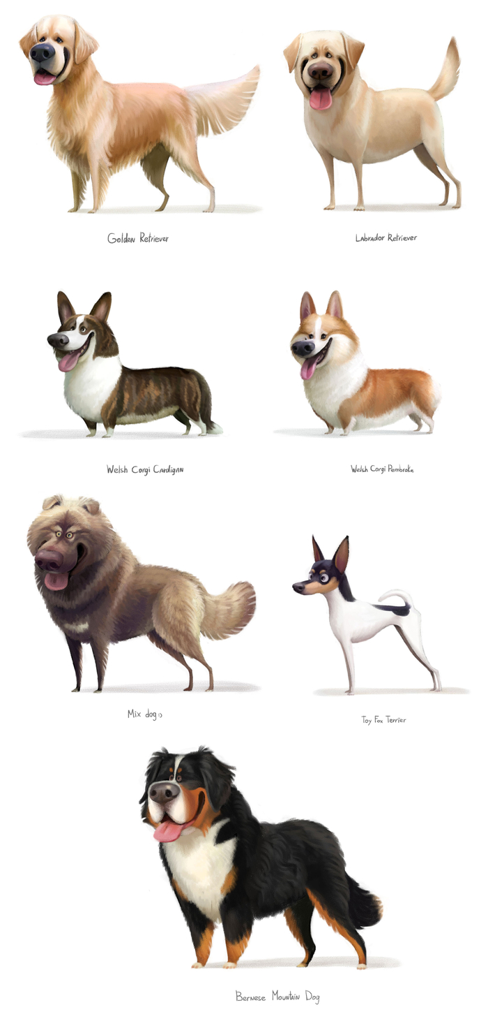 Собаченьки-3