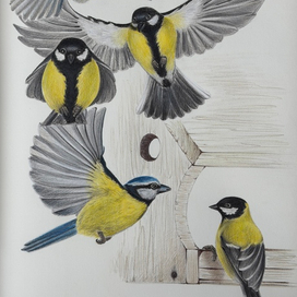 Полет синиц