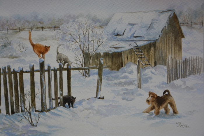 Любопытство