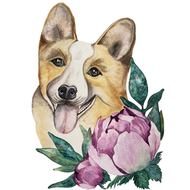 Корги с пионом