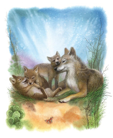 Бабочка любви