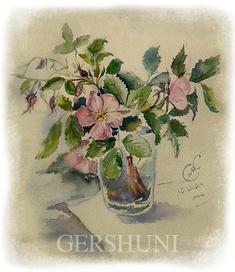 Шиповник (лат. Rōsa)