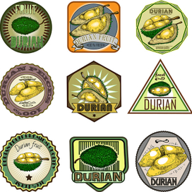 Durian icon