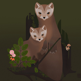 Pine martens