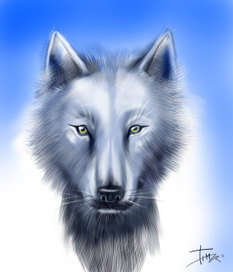 Wolf