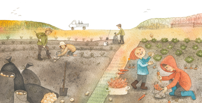 Книжка-картинка Осень (на Севере, Времена года)