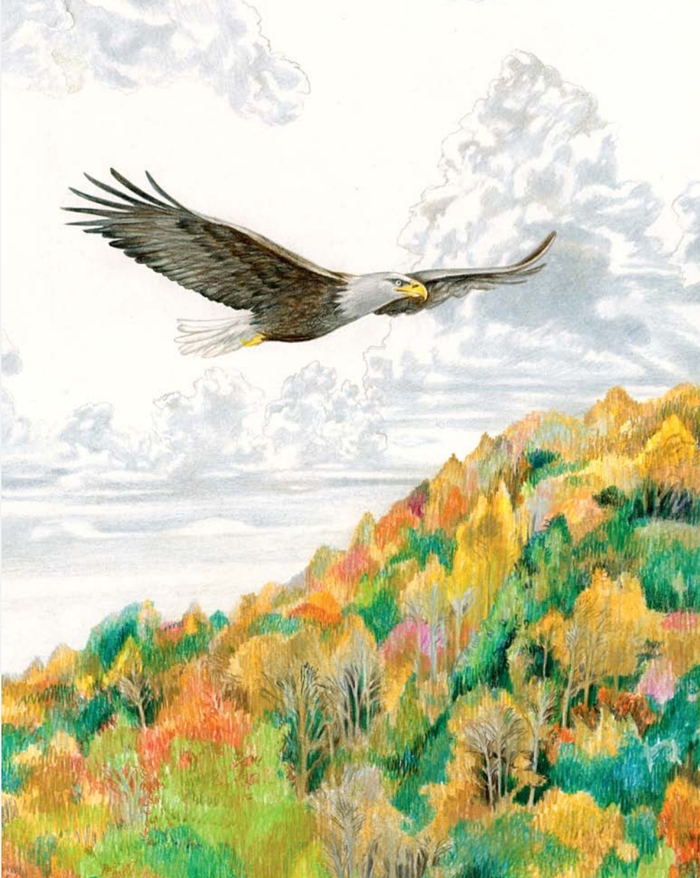 К книге "Отважная охотница" Томас Майн Рид 