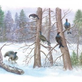 Четвертая зима