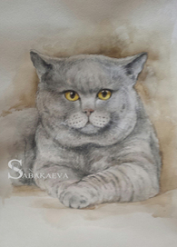 Шерстяной друг