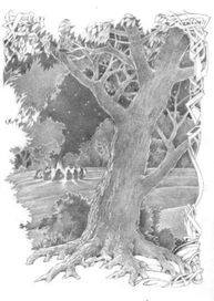 Властелин колец. Костёр эльфов.