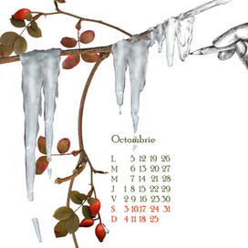 страницы календаря