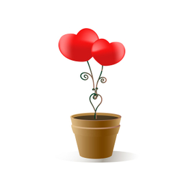 Сердечная пара