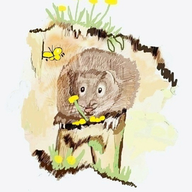 Водяная крыска на пеньке