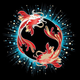 Koi Fish