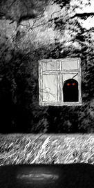 Монстр в окне.