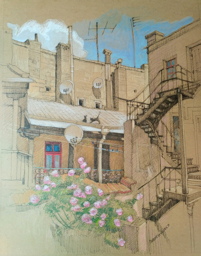 коты и розы