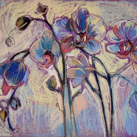 Зимние цветы