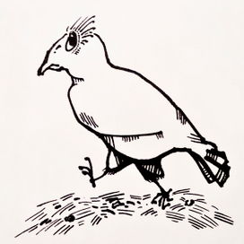 Добрая ворона