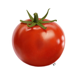 Томат