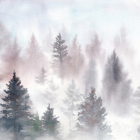 Туманный лес акварелью
